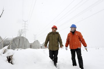 雪后巡线保供电 永寿分公司在行动