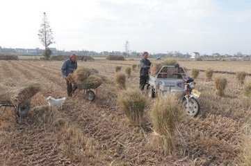 海安县的垃圾都去哪了 都变废为宝了