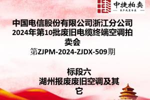 中国电信股份有限公司浙江分公司第10批废旧电缆终端空调拍卖公告第ZJPM-2024-ZJDX-509期图6